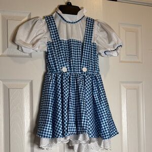 Blue Gingham Dorothy dress size small